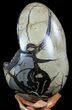 Septarian Dragon Egg Geode - Black Crystals #56399-3